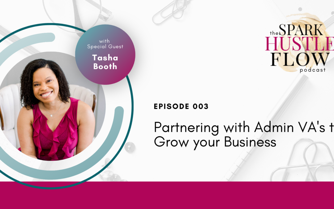 Episode 003: Partnering with Admin VA’s to Grow Your Business